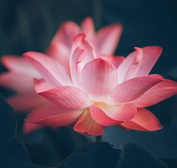 Die ultimative Hilfe-Zur-Selbsthilfe Website